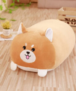 Chonk The Corgi